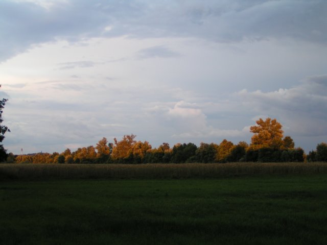 pict0260.jpg